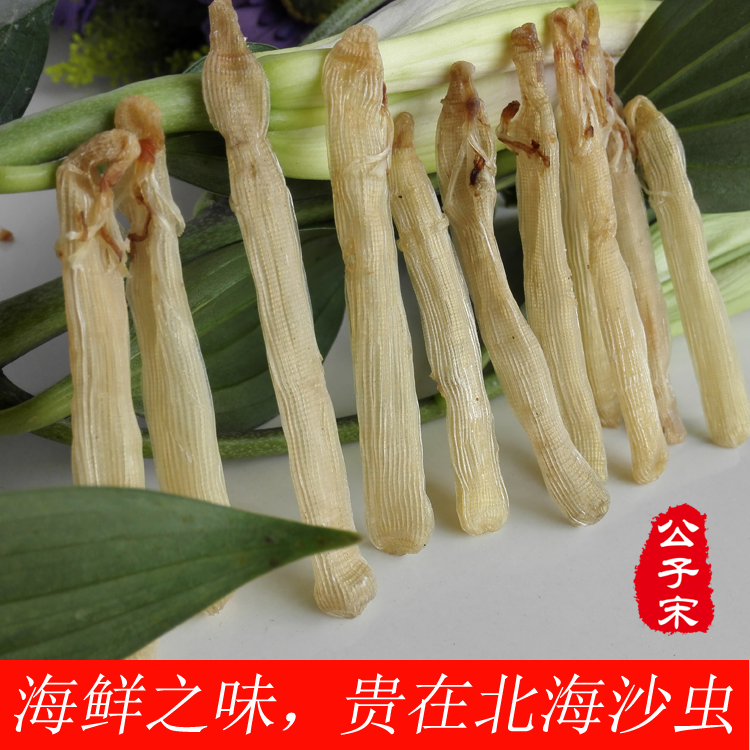阴虫是什么样子图片_沙虫是什么