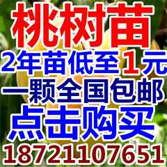 五月播播||五月播播店铺-五月播播||五月播播商