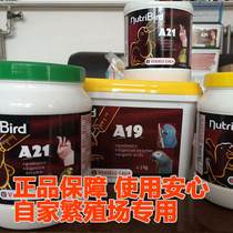 Belgian Versell parrot milk powder bird BB young bird hand-raised chicks special small and medium 19A21 250g