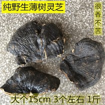 Wild thin tree Ganoderma lucidum Hakka deep mountain thin tree thin tree tea selection 500 grams soup about 4