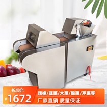 Cangbo 660 type 1000 type commercial multifunctional vegetable cutter Electric automatic slicer Shredder dicing machine