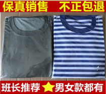 Captain Hu short-sleeved suit fitness suit Summer quick-drying air sports T-shirt sea soul shirt ocean stripes have female models