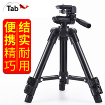 Tab fishing light bracket light stand Night Fishing light tripod retractable corner frame vertical fishing Light Universal adjustment light stand