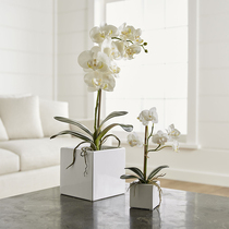 Simple small square mouth vase ceramic white square vase simulation Phalaenopsis flower art home decorations