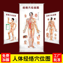 Human body twelve meridians acupoint map large wall chart home health center traditional Chinese medicine acupuncture massage whole body standard acupoint map