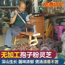 Purple Ganoderma lucidum semi-wild Ganoderma lucidum natural black Ganoderma lucidum sliced Ganoderma Linzhi Ganoderma Sliced Ganoderma