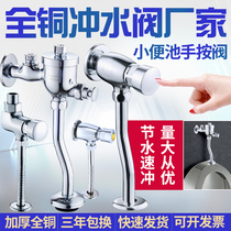 Valve urinal all copper urinal full copper urinal flush valve hand-pressed urinal delay toilet