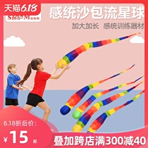Meteor ball kindergarten emotional training equipment ribbon wind resistance soft ball sports equipment children throwing and catching toys