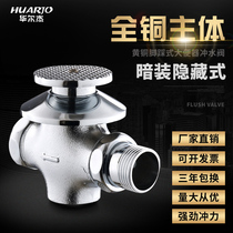 Copper foot squatting toilet flusher concealed pedal flush valve stool squat pit delay valve H857