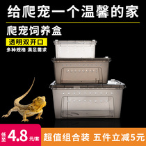 Reptile breeding box incubator tortoise hibernation supplies Spider snake horned frog lizard snail silkworm acrylic pet box