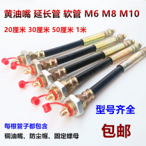 M6M8M10 extended butter nozzle hard hose extension grease nozzle nozzle nozzle joint extension pipe fixed oil nozzle
