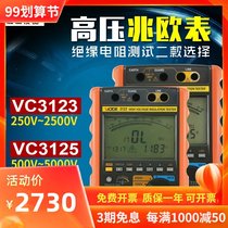 Victory VC3123 3125 3126 MEGOHMMETER 2500v High Voltage Insulation Resistance Tester electrician shake meter