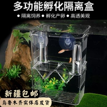 Guppies outer isolation box breeding fish tank acrylic extra large spawning hatching spawning room small fry juvenile fish spawning