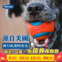 Petmate American Dog Toy Ball Pet Elastic Rubber Ball Side Pasta Training Supplies Ball resistant to floating water