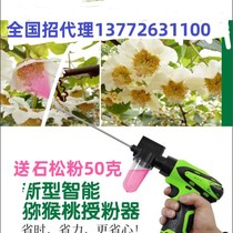 z Giant Wind Electric Pollinator Pollinator Point Floral Pollen Pollinator Macaque Gooseberry Apple Pear Pollination Tool