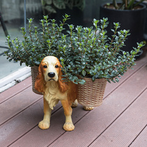 Home point beautiful creative flowerpot ornaments European living room decoration resin dog floor-standing flowers a few flower stands home furnishings