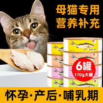 Lactation Canned Cat Mother Cat Pregnant Postpartum Use Pregnant Cat Mother to Canned Milk Meal Cat Nutritional Food
