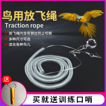 Parrot flying rope does not hurt the foot Ultra-light training rope Tiger skin Xuanfeng starling foot ring anklet go out to walk the bird flying rope