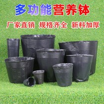 Thickened nutrition bowl seedling cup black fruit tree nursery bag large plastic planting bag flower pot wholesale