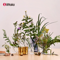 Iittala Itara Legend Lake series Transparent color simple wind glass vase living room decoration ornaments