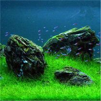 Lazy water grass entry-level aerobic freshwater four-season fish tank decoration simulation