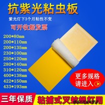 Fly paper fly-extinguishing lamp sticky insect board mosquito repellent lamp sticker food restaurant with fly-extinguishing bug 10