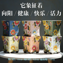 Korean hand-painted fleshy flowerpot sunflower sunflowers Jingdezhen wind plastic belt feet coarse pottery breathable creative set