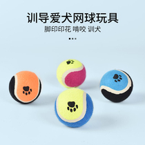 Pet Pooch Dog Tennis Toys Small And Medium Dog Teddy Kirky Large Dog Puppies Golden Wow Dog Grindle Dog Balls