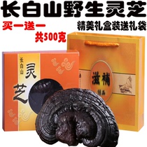 Changbai Mountain Wild Super Black Ganoderma lucidum Deep Mountain Whole Branches Linzhi Purple Ganoderma Sliced Ganoderma Sliced Tongren Tang One Jin Gift Box