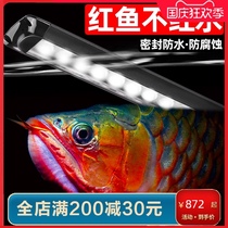 Old fish maker Fish Tank Aquarium diving waterproof led Lighting Red Dragon Golden Dragon Fish light special light