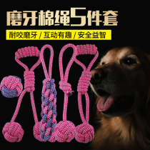 Dog Toys Set Teddy Brits Golden Hair Training Interactive Bite Rope Pet Dog Knot Toys Cotton Rope Ball