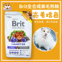 White Village Bear House) Brit beauty wool grain bright hair fully synthetic grain long hairy bear golden silk bear hamster staple food try to eat