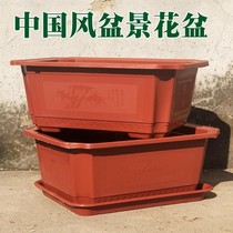 Special Rectangular plastic flower pot bonsai tree flowerpot shallow pot large square Oval thick clearance