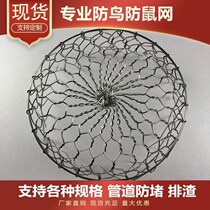 anti-rat bezel mesh bird-proof home free of punch mounted ventilator pipe stainless steel mesh hood outdoor wall-proof