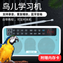 Bird learning machine repeater Starling brother parrot theory phone Bluetooth player recorder bird learning phone
