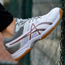 Professional volleyball shoes volleyball shoes men and women badminton match training shoes anti-skid beef soles handball shoes