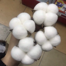 (Xinjiang Cotton) Natural Kapok Dried Flower Bouquet Cotton Photo Props Cotton Shell Natural White Cotton Flower Arrangement