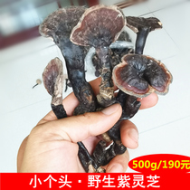 New Natural wild Purple Ganoderma Lucidum pruning deep mountain small head Nyingchi Dry Black Ganoderma Lucidum Special Package 500g