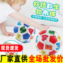 婴儿玩具皮球儿童益智五彩感官数字球布制有带铃铛球宝宝手抓球