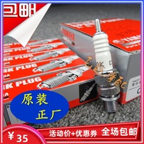 Construction of JYM125-2-3-7-8-3G Tianshen Tianjian K Sky Falcon Kingdom Three Jin Ao YBR125 Original spark plug