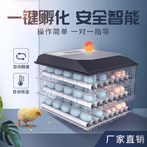 Weiqian incubator automatic household incubator Mini small intelligent constant temperature incubator chicken incubator