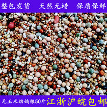 Liangde Yi no corn pigeon feed nutrition bird food Pigeon Pigeon Pigeon grain grain 50kg