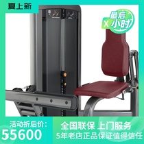 Original Lijian LIFEFITNESS Brand Insignia Series Calf Stretch Trainer SS-CE