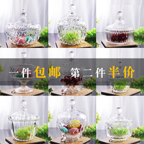 Candy jar glass sugar jar European style living room home sugar cube jar transparent sugar jar with lid crystal storage storage cup