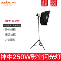 Shenniu 250W studio flash set single light set photography light studio