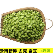 云南高原绿心去壳新鲜蚕豆瓣农家蔬菜生嫩青罗汉豆胡豆仁兰花豆米
