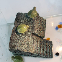 Turtle basking platform Climbing platform Turtle tank Floating island landscaping Water turtle Grass turtle Brazilian turtle Basking platform Reptile supplies Climbing escape