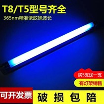 Anti-mosquito lamp tube Blue Purple Light Ballet FLY lamp Commercial special assorted t5-6W8W Mosquito Killer Trap