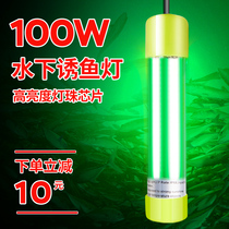 Underwater fish lure lamp gathering fish fishing lamp fishing lamp fishing lamp fishing lamp fishing lamp fishing lamp fishing lamp fishing lamp 220V universal 12v squid lamp