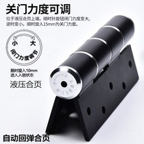 Invisible door hinge hydraulic buffer automatic closing rebound mute damping home positioning adjustable dark lotus leaf hinge